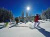 Schneeschuh-Tagestour "Winterwald" für Kenner und Genießer oder "Gipfelglück" - mit Einkehr