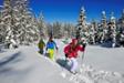 Schneeschuh-Tagestour "Winterwald" oder "Gipfelglück" für Kenner und Genießer - mit Einkehr