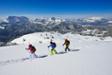 Schneeschuh-Tagesunternehmung "Zauberhafte Winterlandschaft" oder "Gipfelglück" - mit Einkehr
