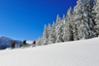 Schneeschuh-Tageswanderung "In der Stille des Winters" oder "Gipfelglück" mit Einkehr